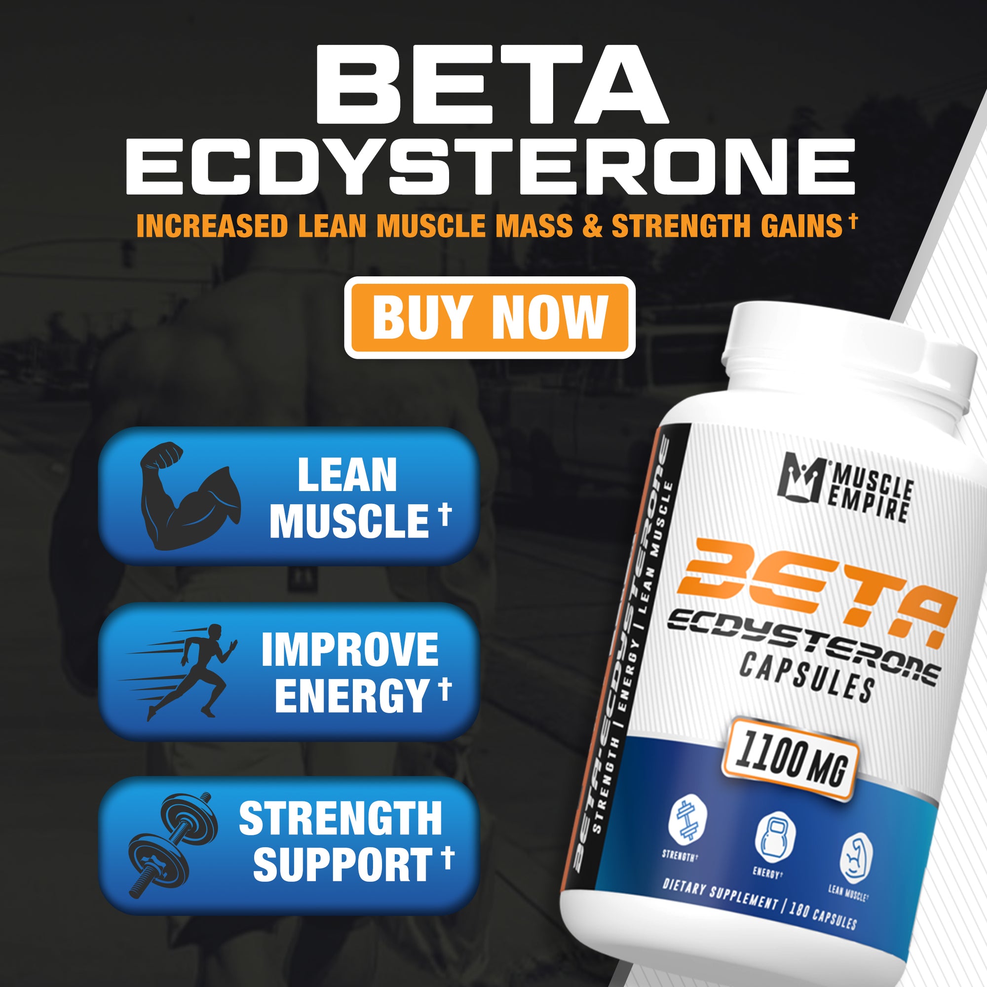 Beta-Ecdysterone Extract Capsules
